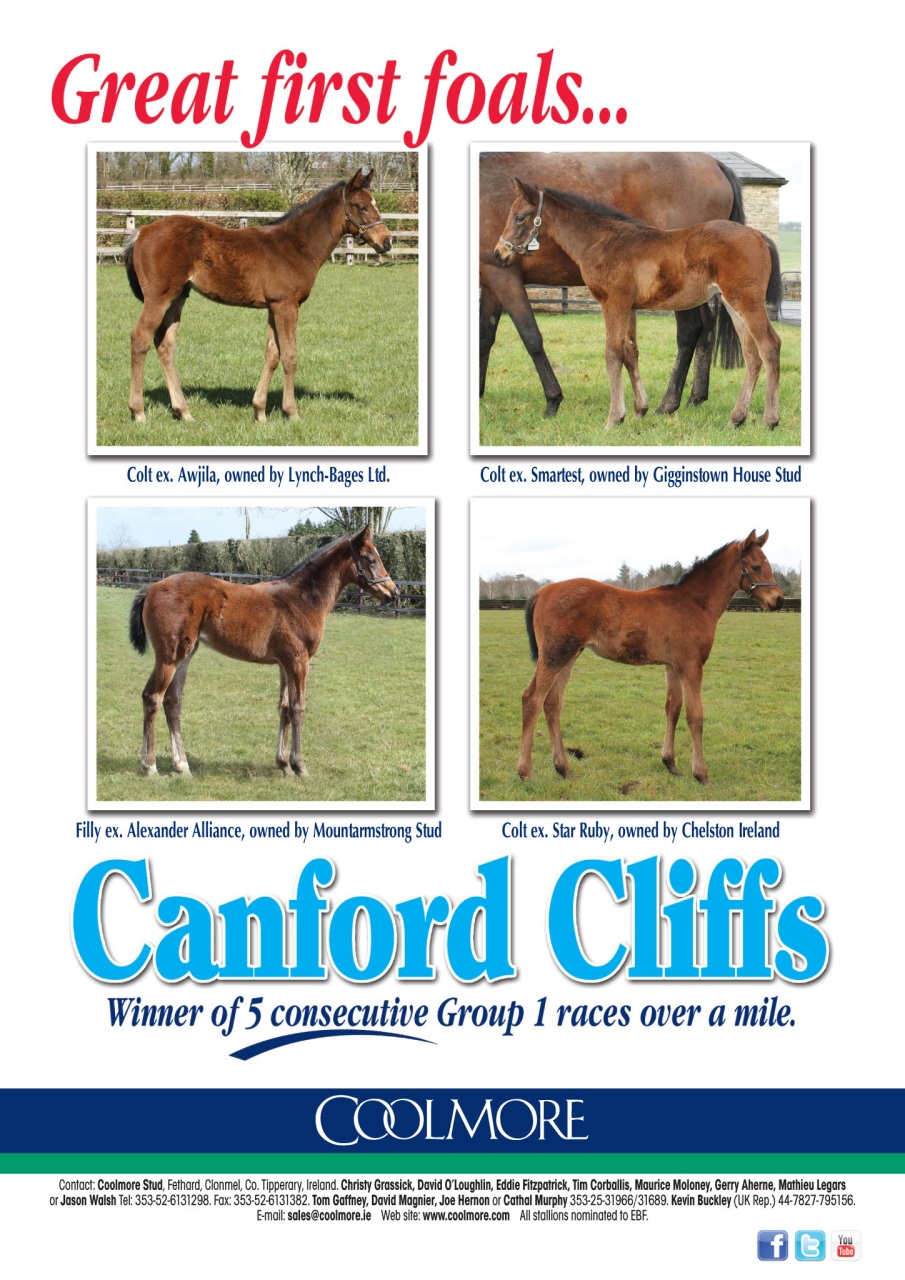 The Owner Breeder Preview Pages