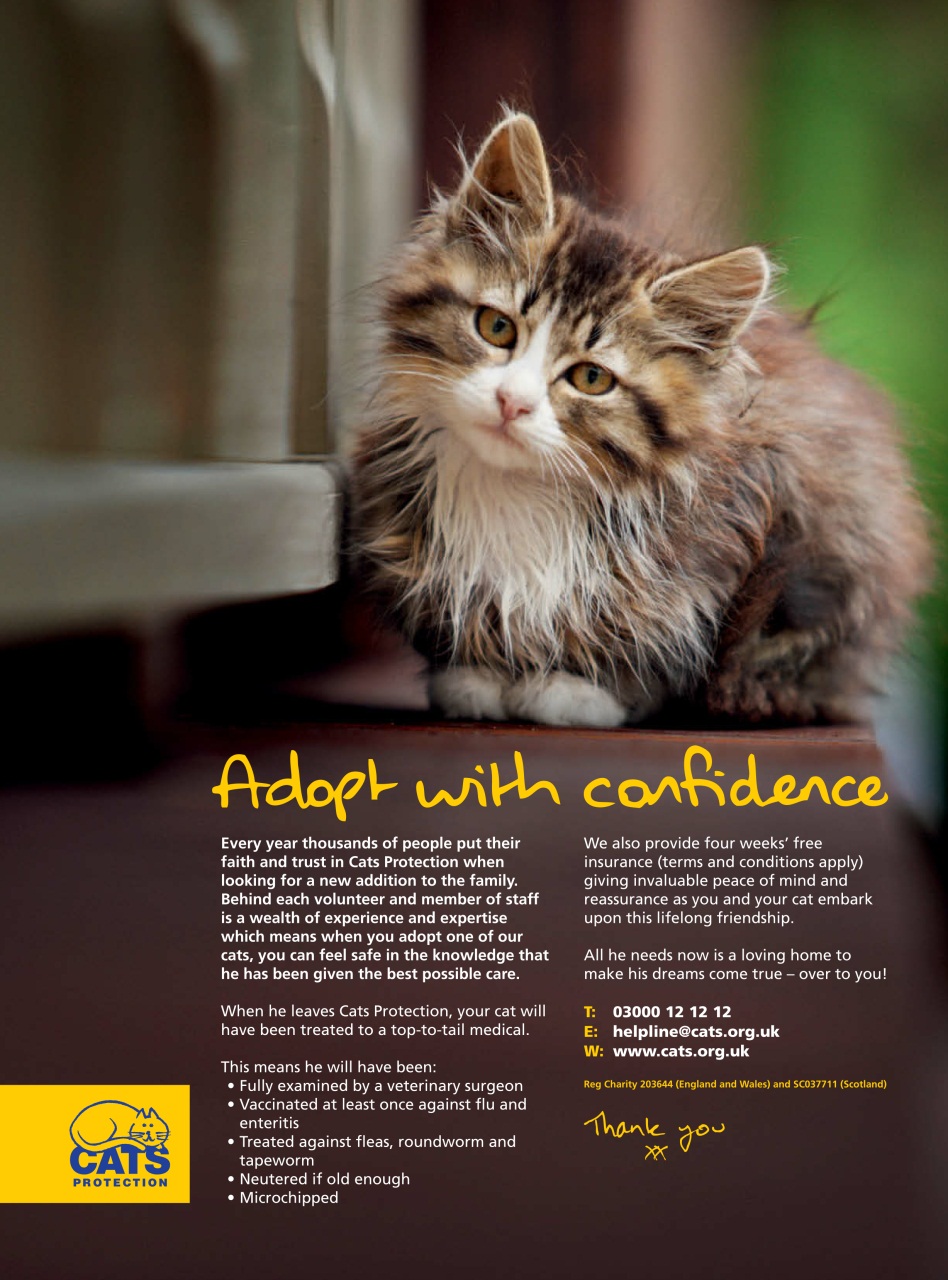 Your Home Magazine Preview Pages