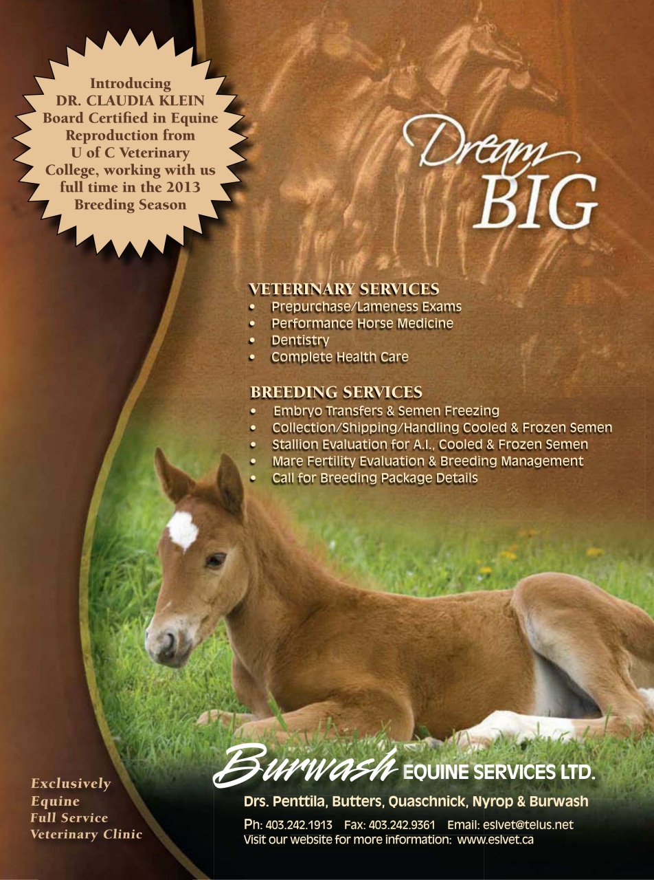 Western Horse Review Preview Pages