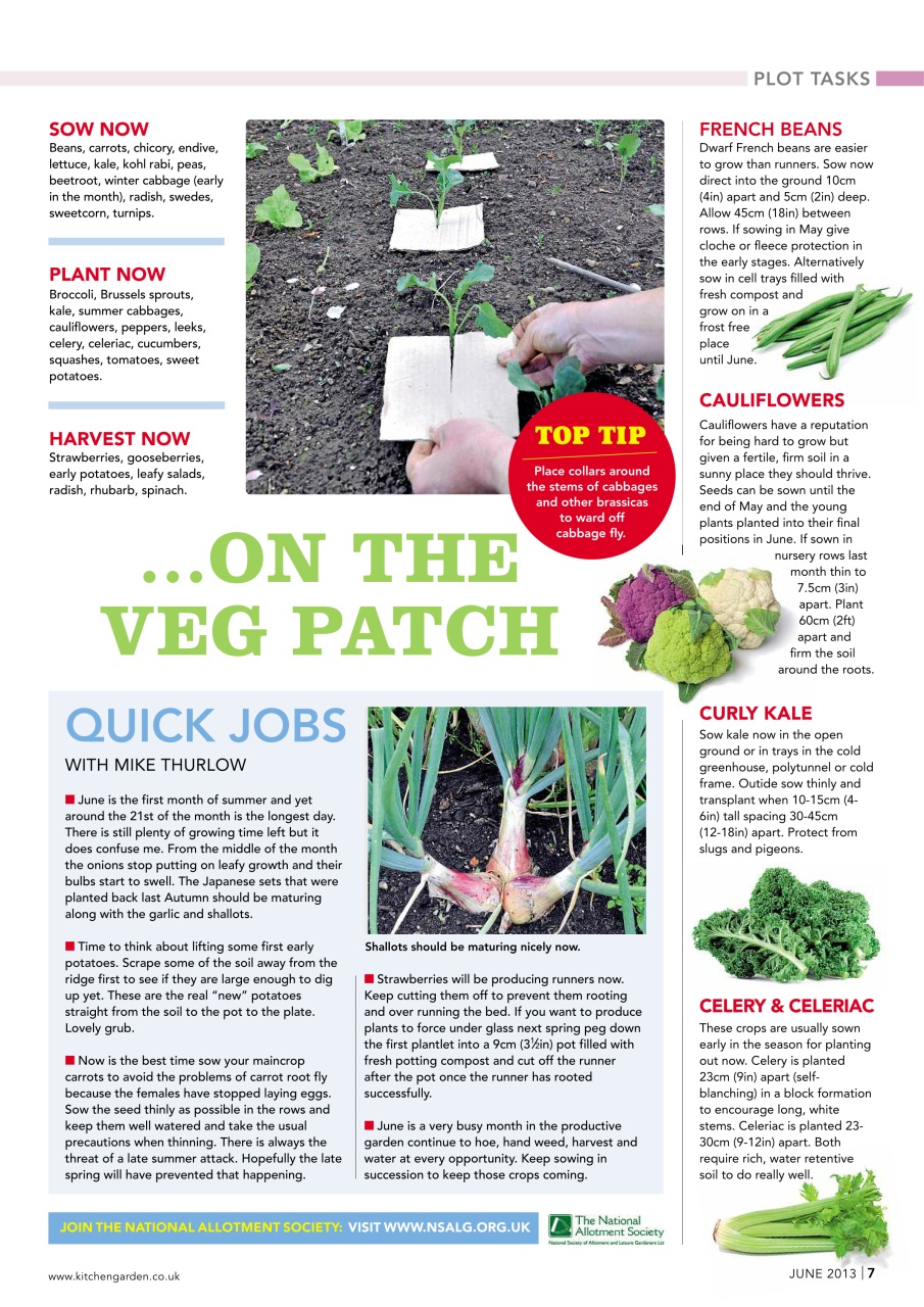 Kitchen Garden Magazine Preview Pages