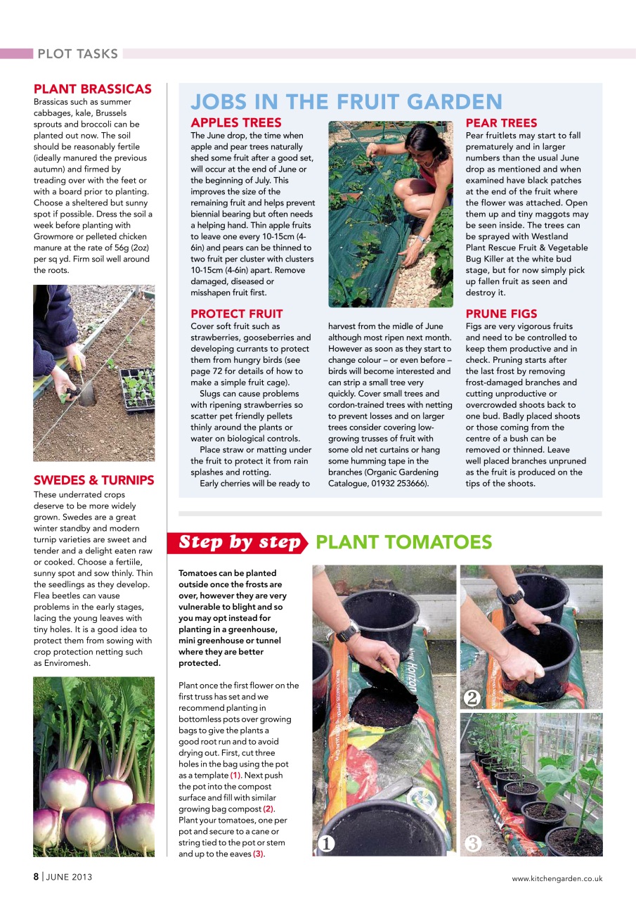 Kitchen Garden Magazine Preview Pages