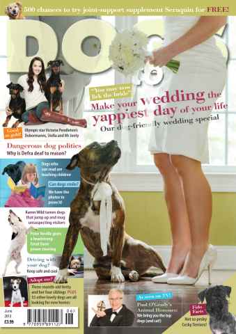 Dogs Today Magazine issue June 2013