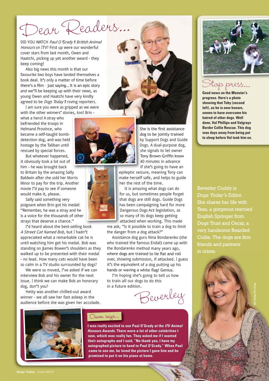 Dogs Today Magazine Preview Pages