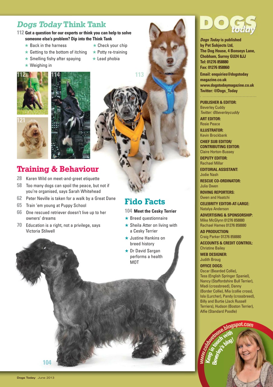 Dogs Today Magazine Preview Pages