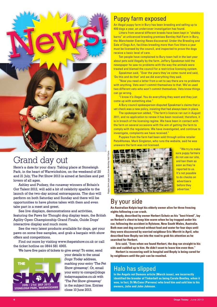 Dogs Today Magazine Preview Pages