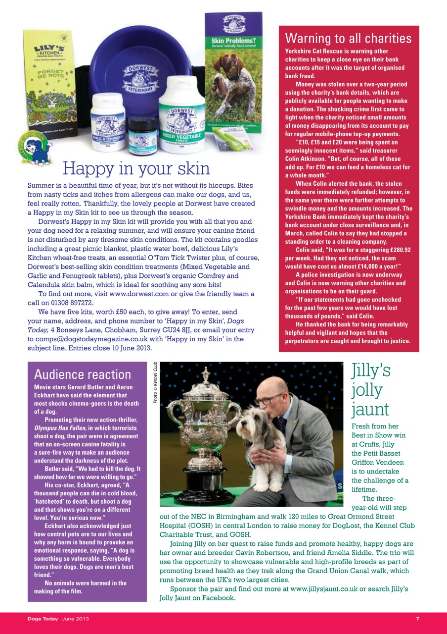 Dogs Today Magazine Preview Pages