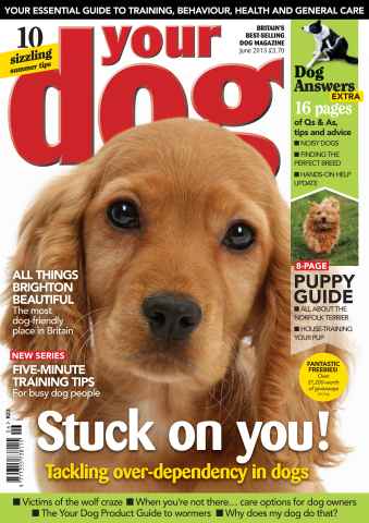 Your Dog issue Your Dog Magazine June 2013