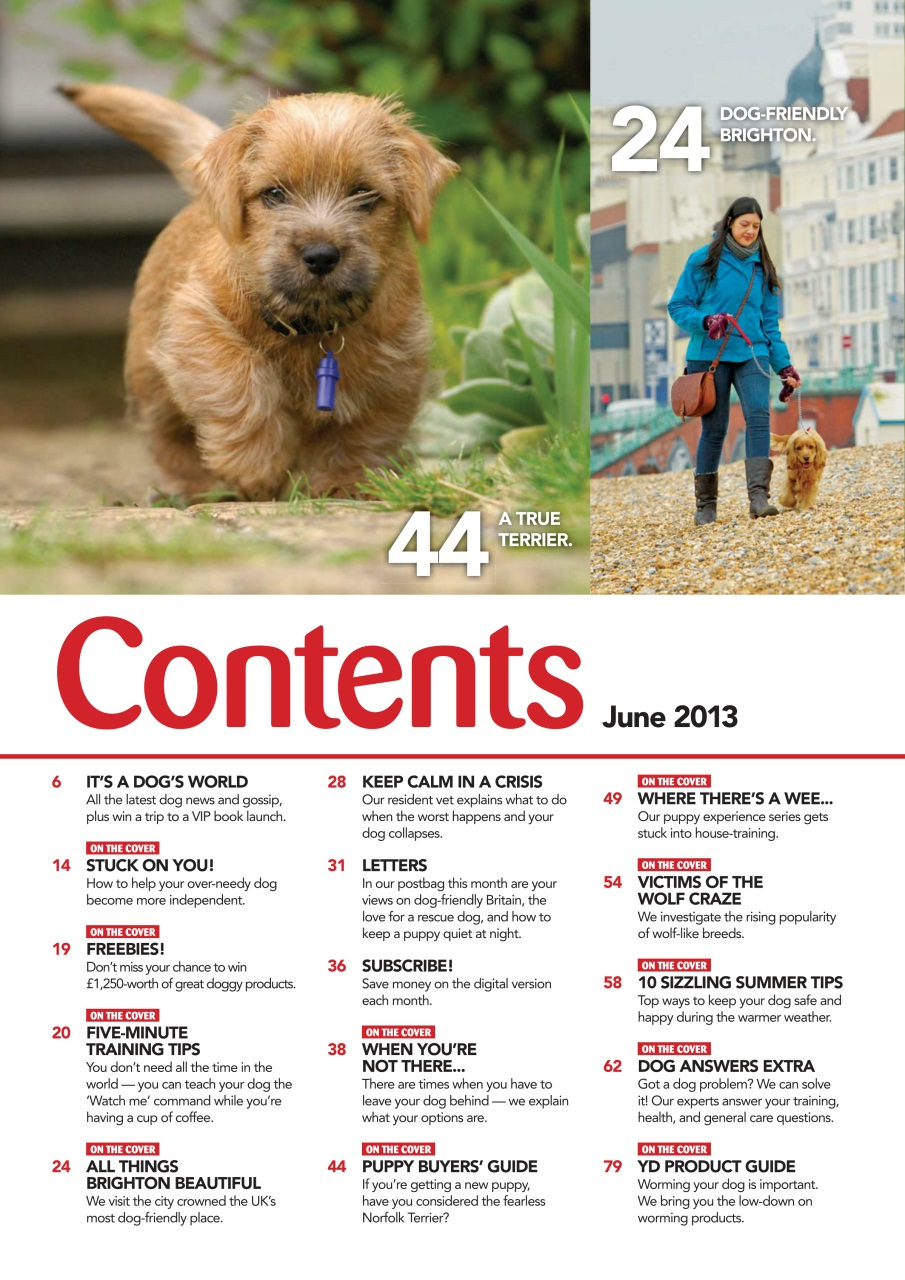 Your Dog Preview Pages