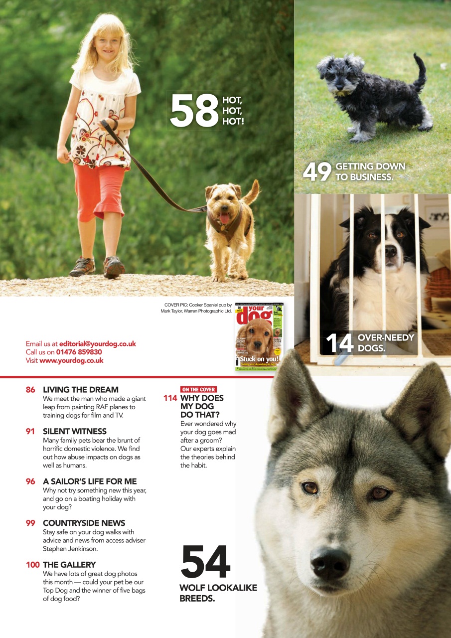 Your Dog Preview Pages