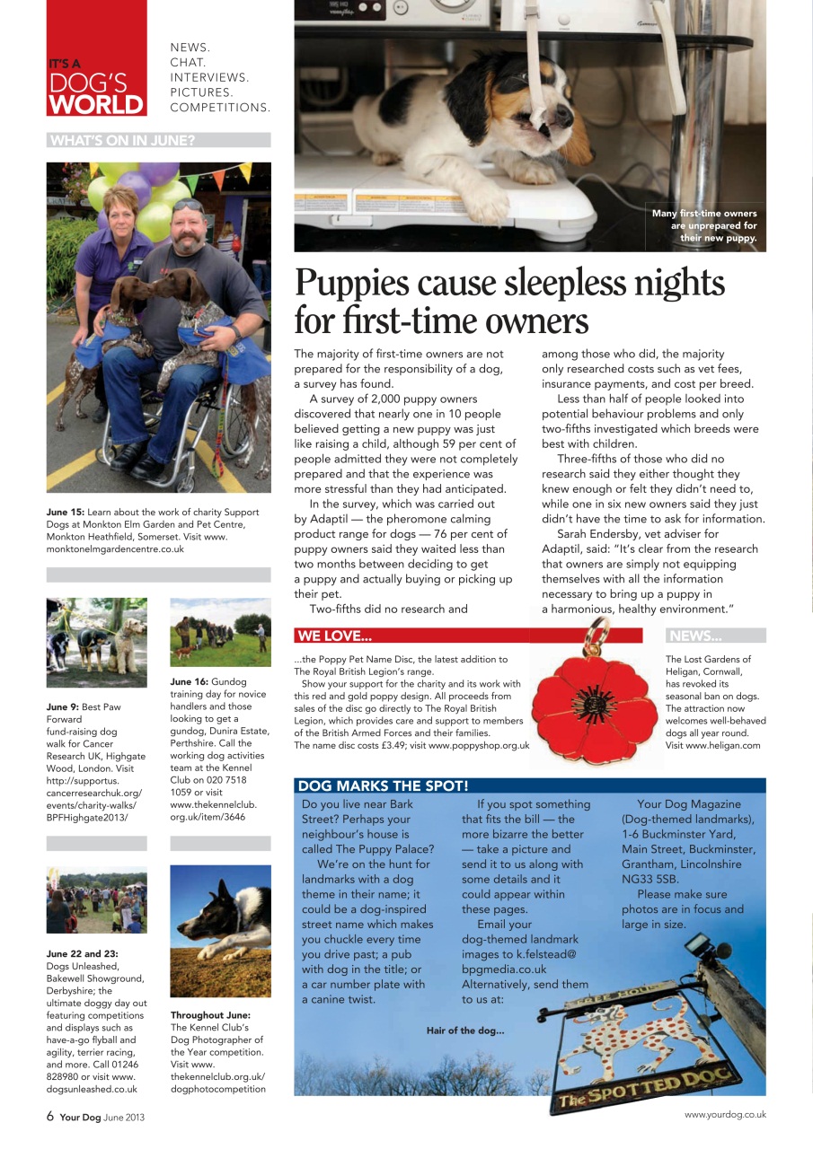 Your Dog Preview Pages