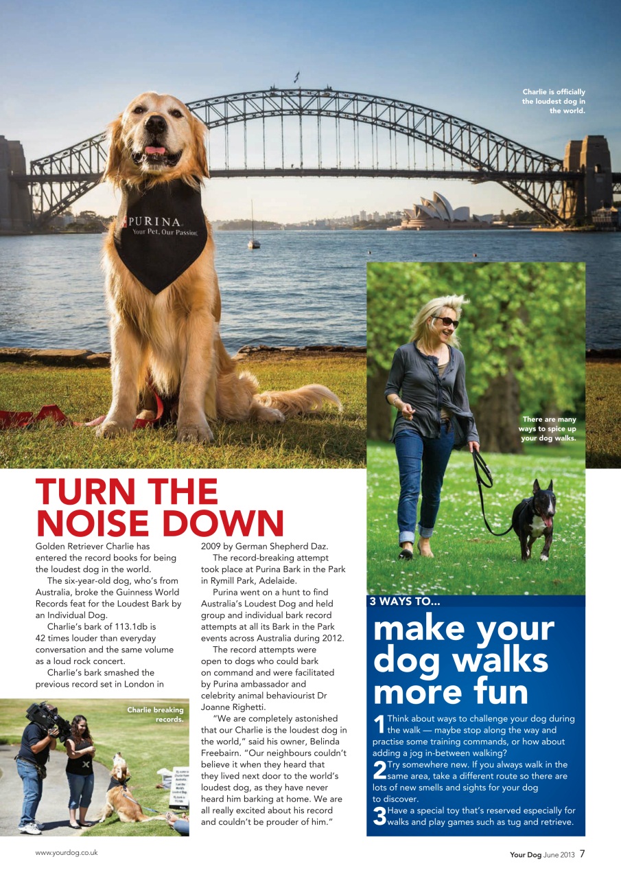 Your Dog Preview Pages