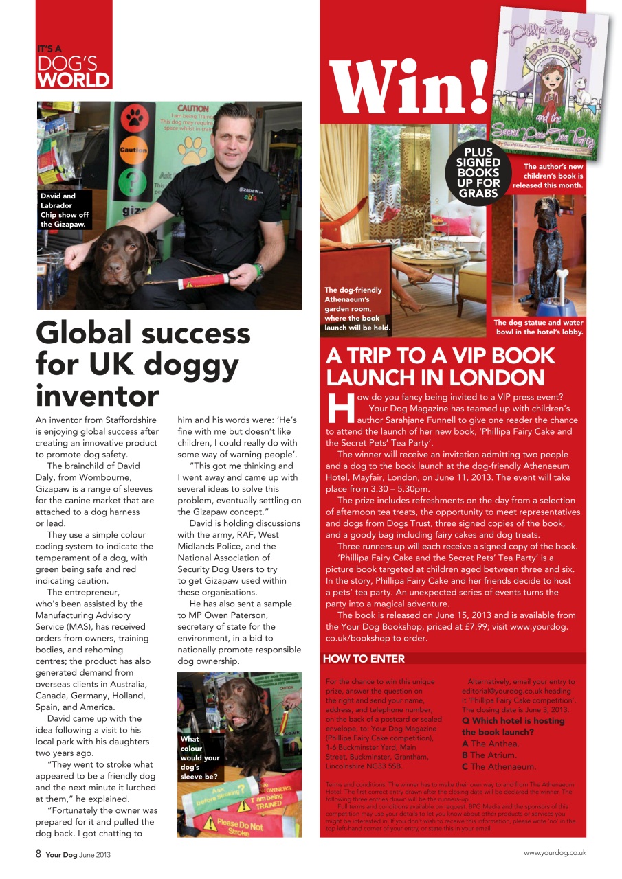 Your Dog Preview Pages