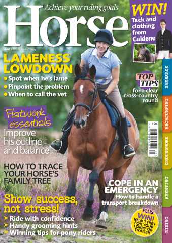 Horse issue June 2013