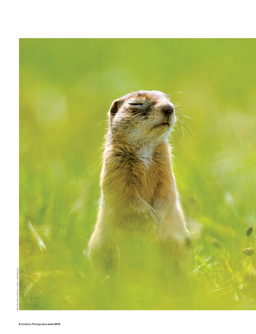 Outdoor Photography Preview Pages