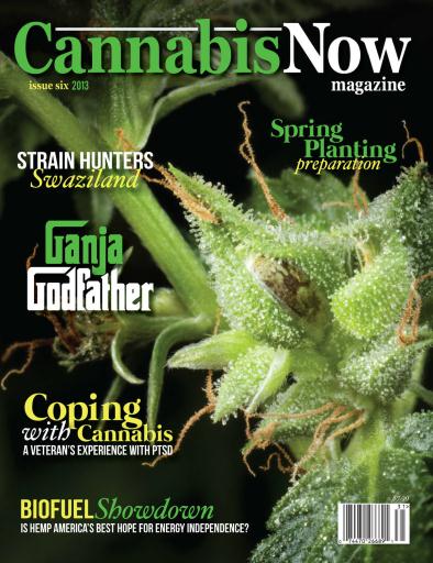 Cannabis Now issue 