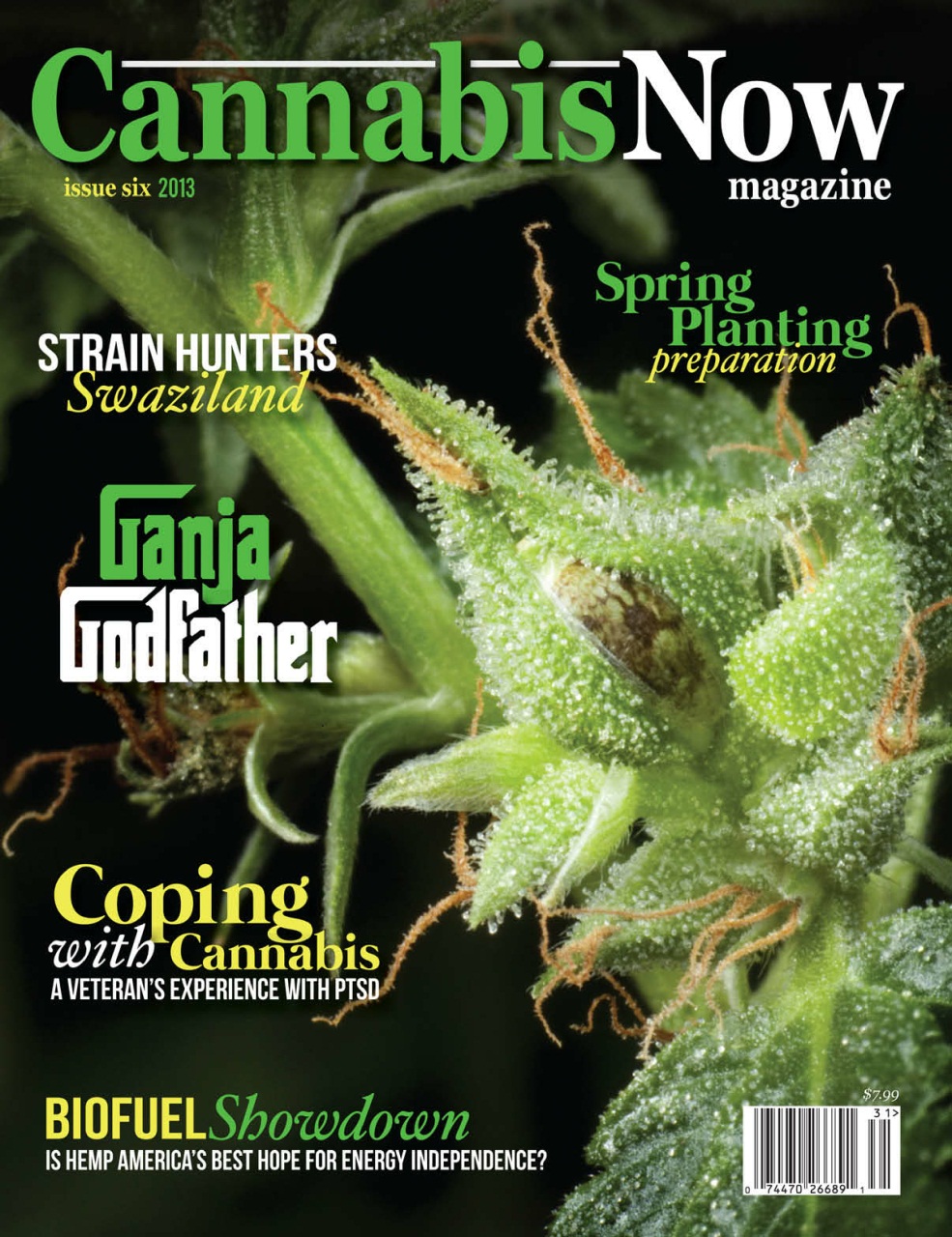 Cannabis Now Preview Pages