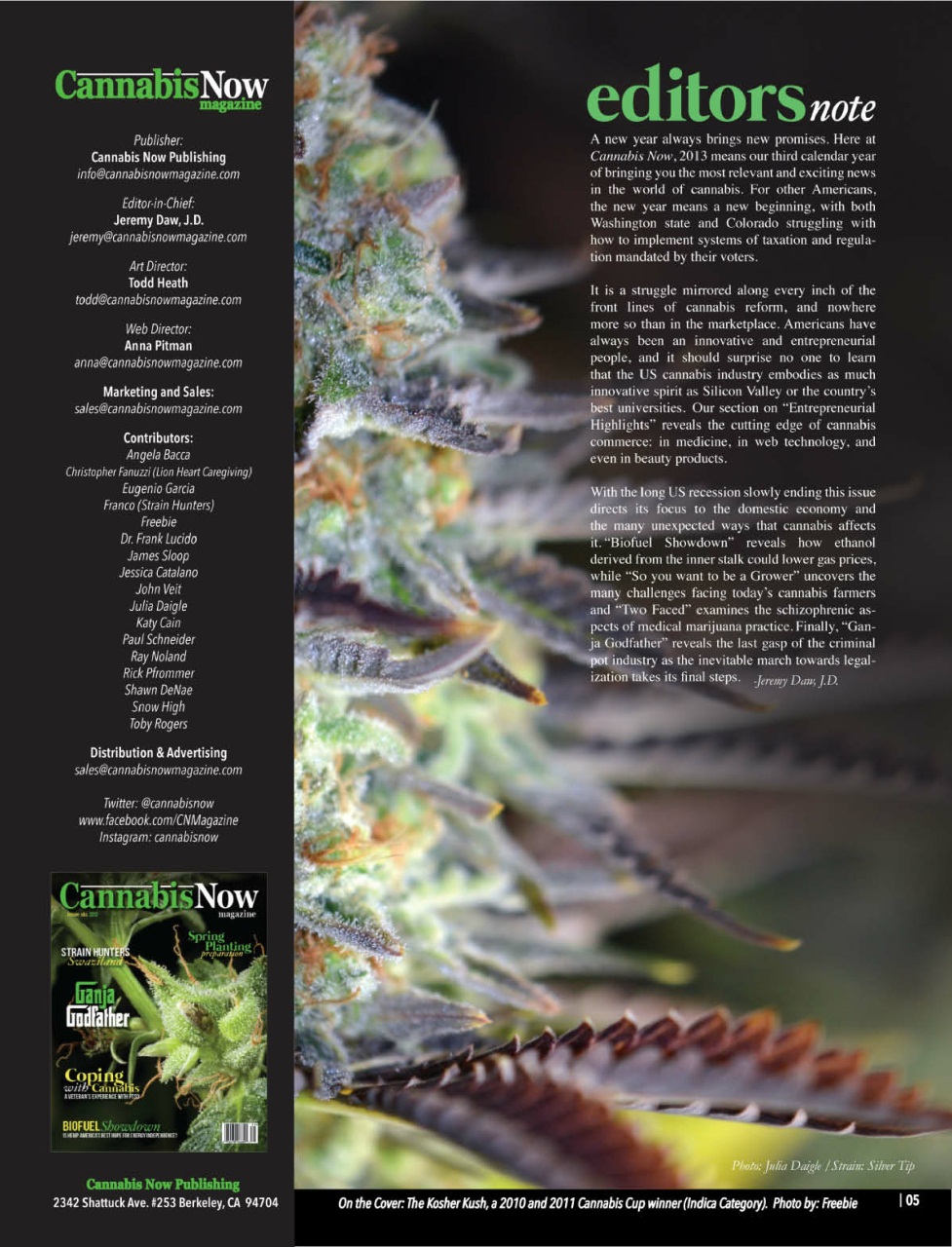 Cannabis Now Preview Pages