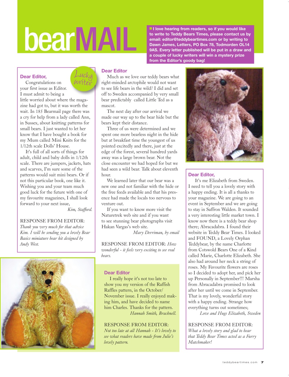 Teddy Bear Times Preview Pages