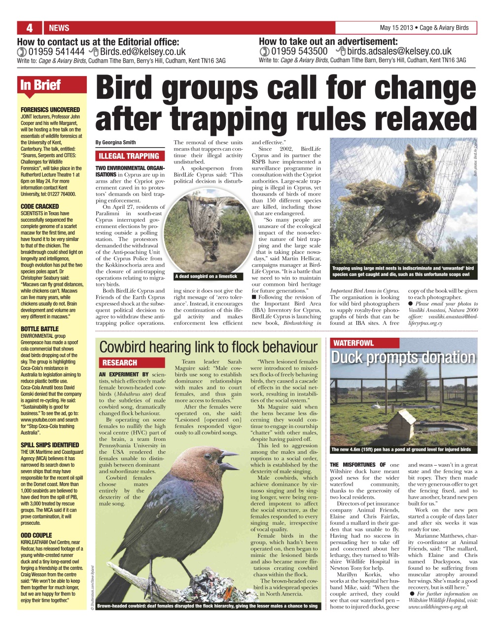 Cage & Aviary Birds Preview Pages