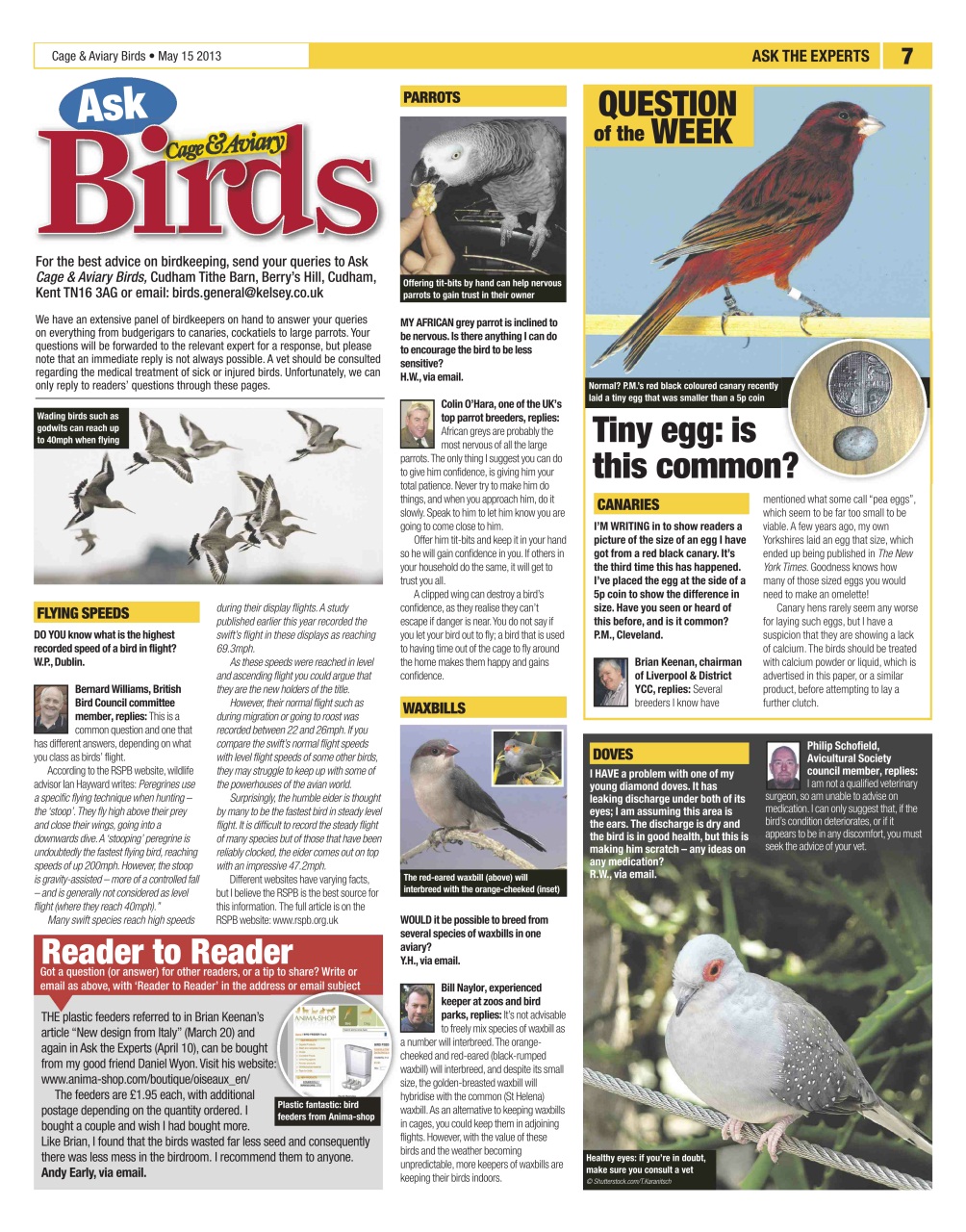 Cage & Aviary Birds Preview Pages