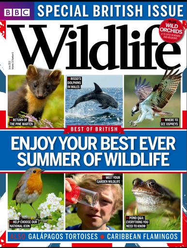 BBC Wildlife Magazine issue 