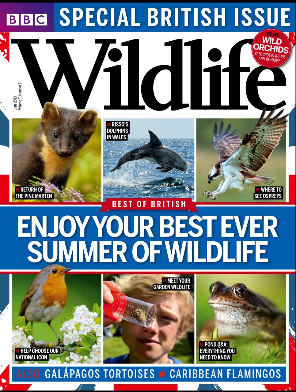 BBC Wildlife Magazine Preview Pages