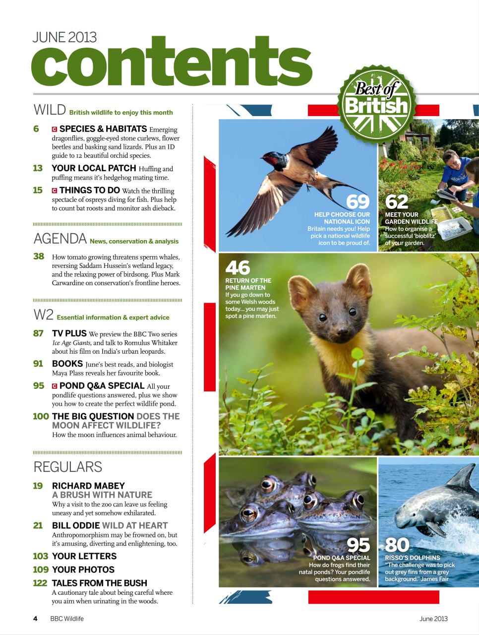 BBC Wildlife Magazine Preview Pages