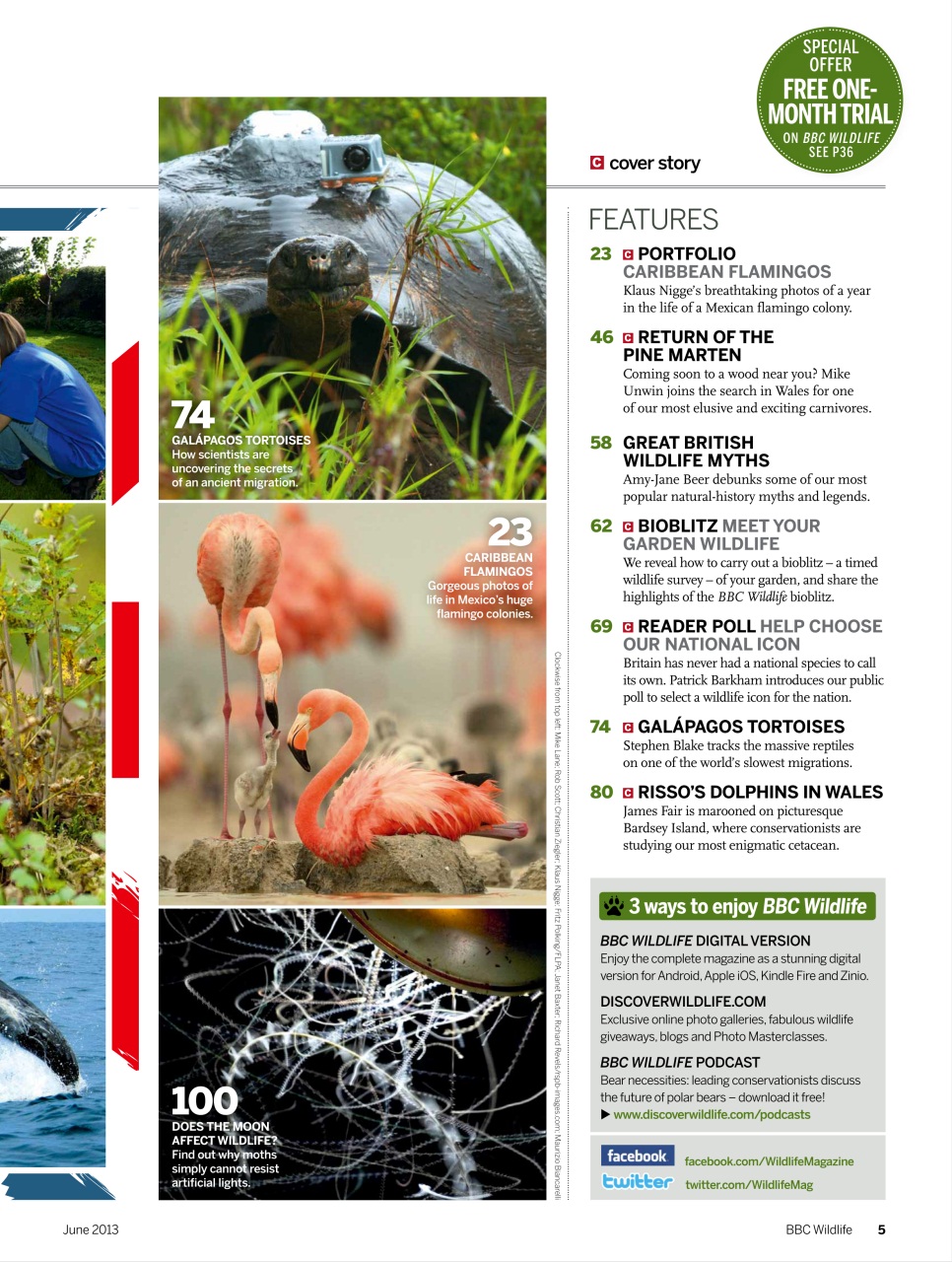 BBC Wildlife Magazine Preview Pages