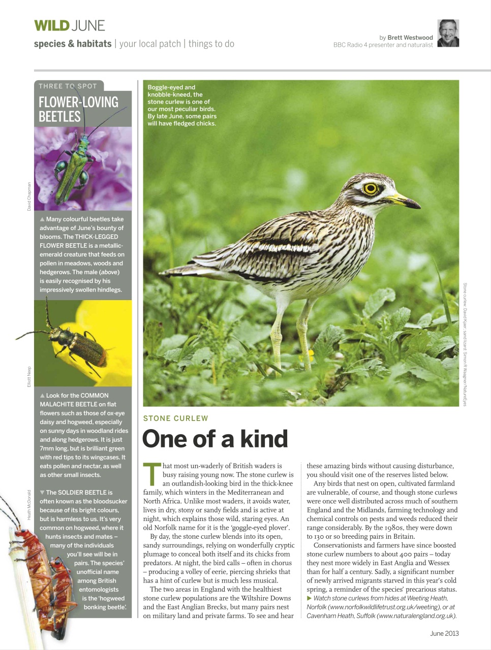 BBC Wildlife Magazine Preview Pages