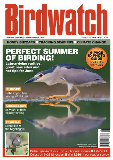 Birdwatch Magazine issue 