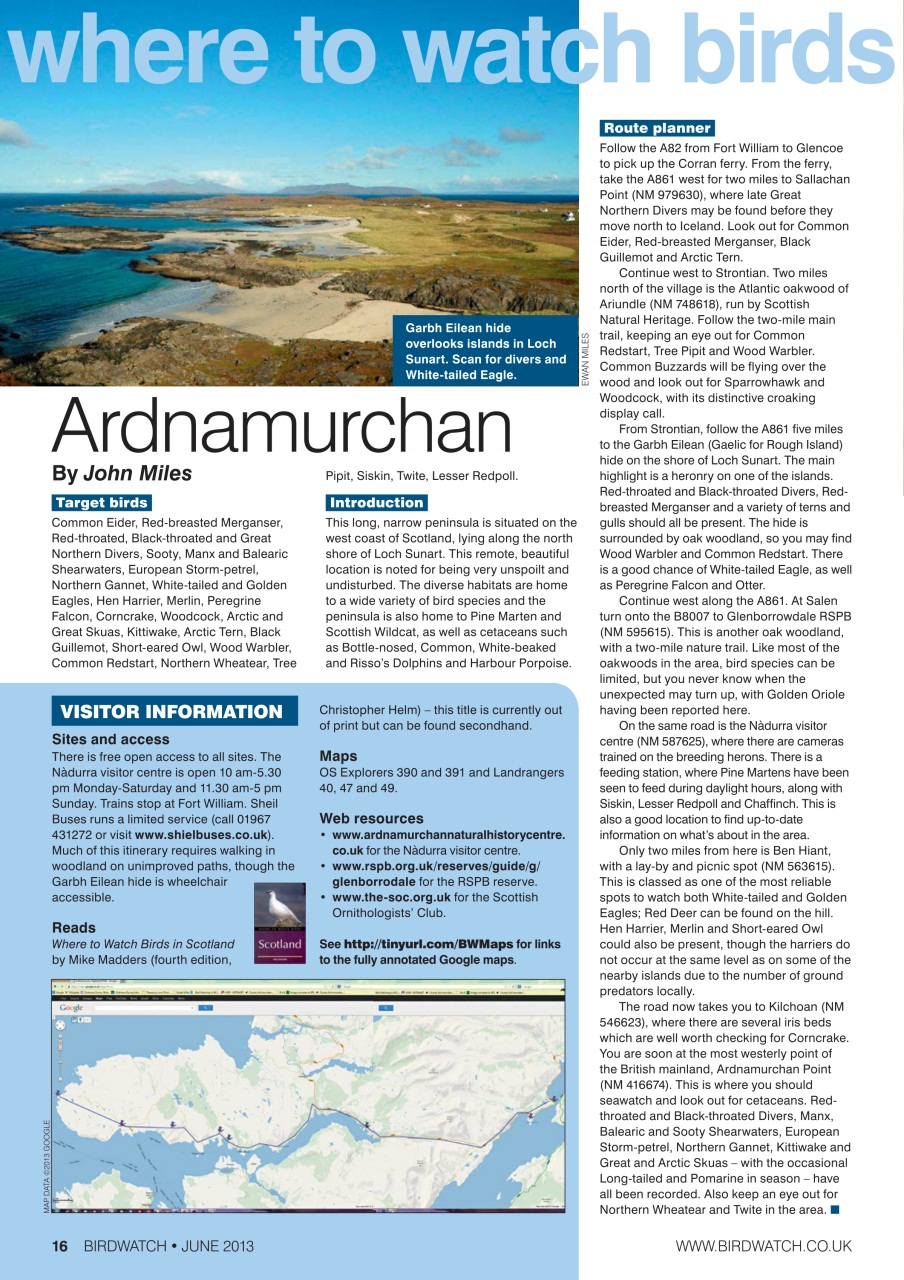 Birdwatch Magazine Preview Pages