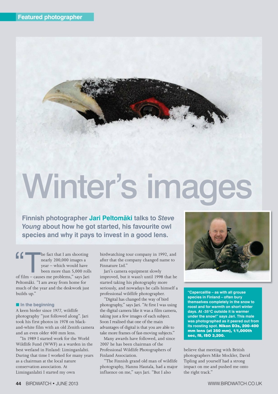 Birdwatch Magazine Preview Pages