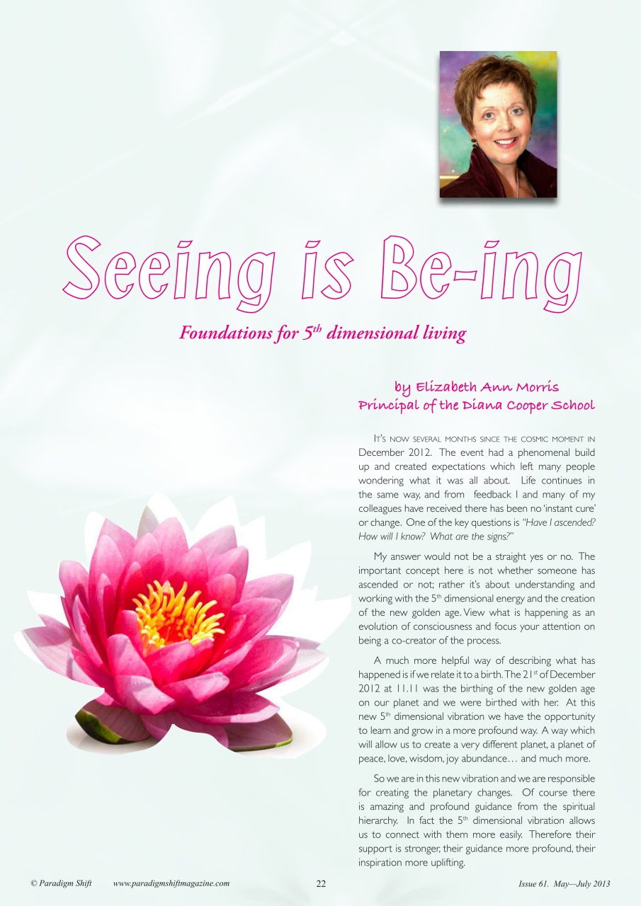 Paradigm Shift Preview Pages