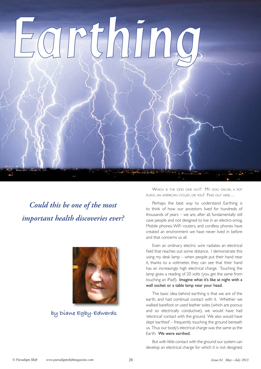 Paradigm Shift Preview Pages