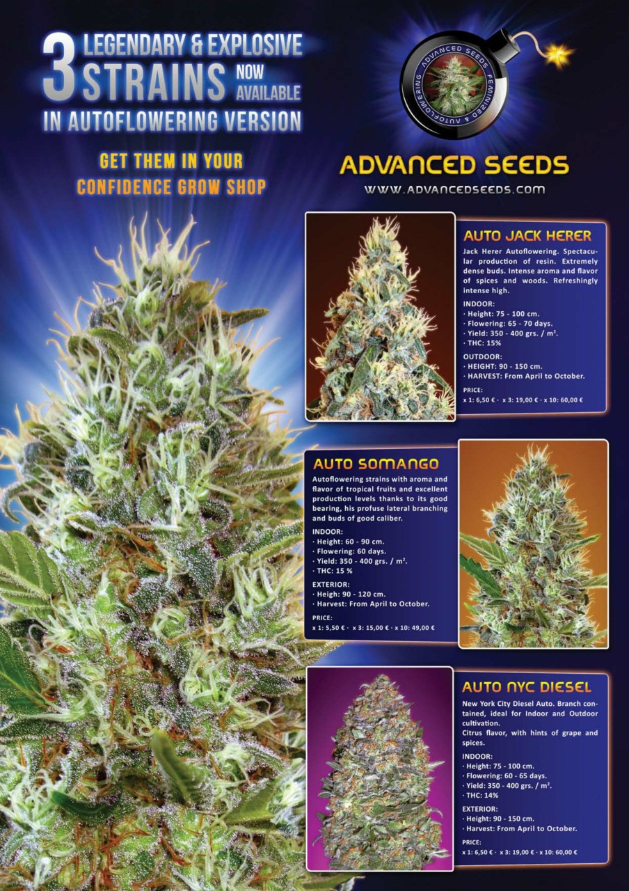 Weed World Preview Pages
