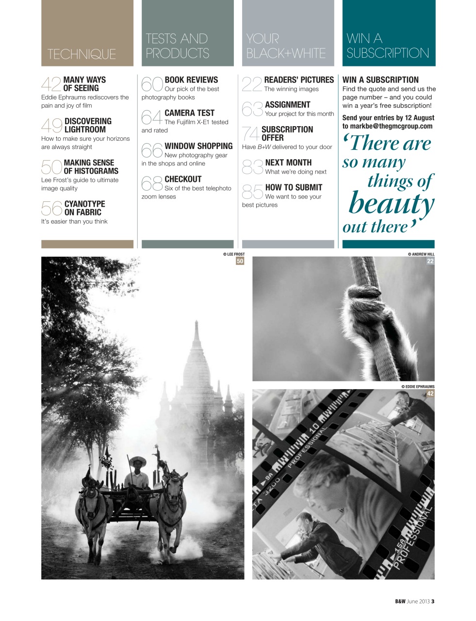 Black+White Photography Preview Pages