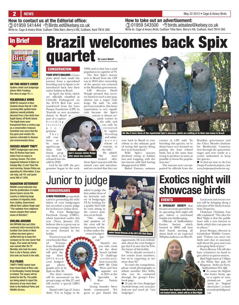 Cage & Aviary Birds Preview Pages