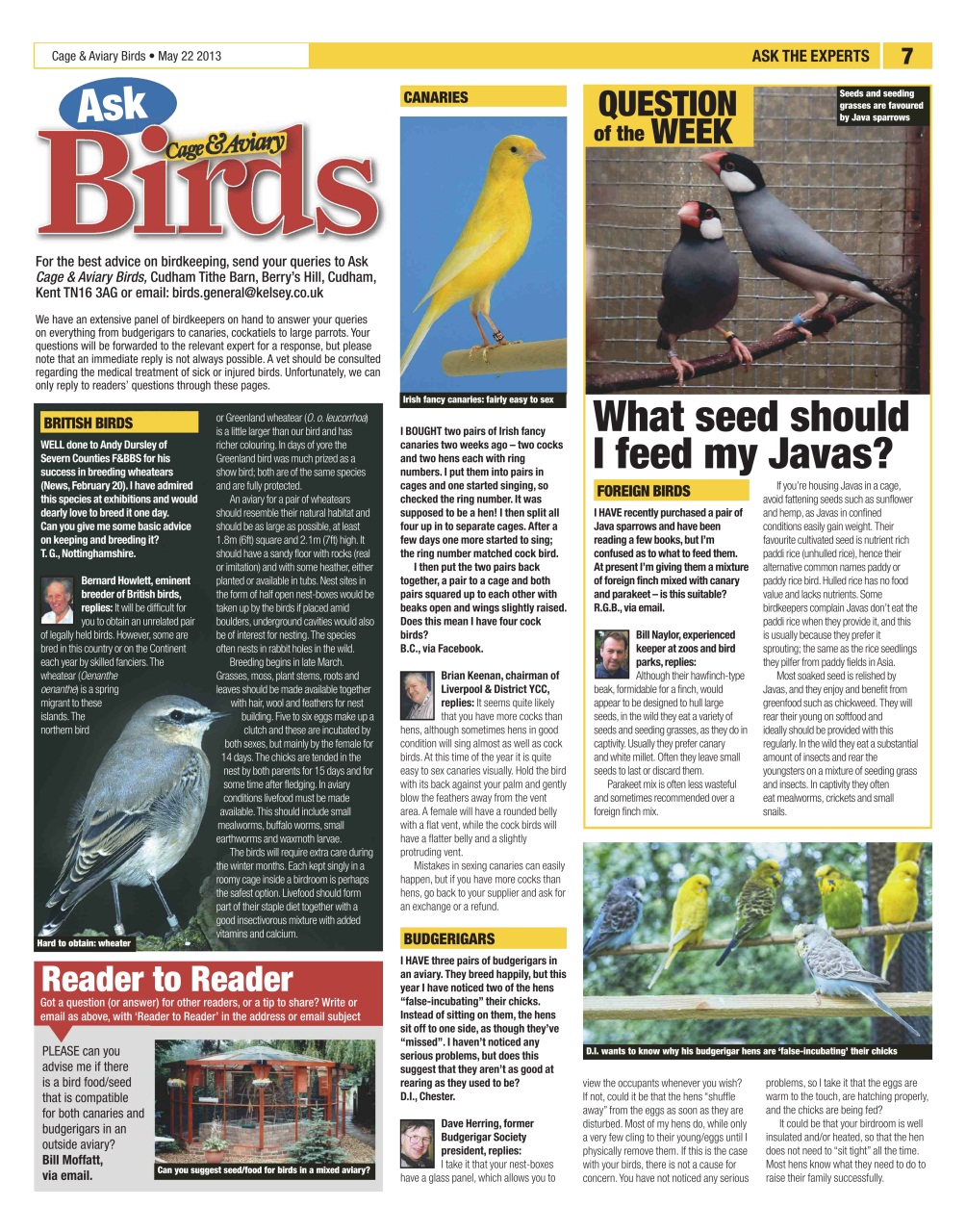 Cage & Aviary Birds Preview Pages