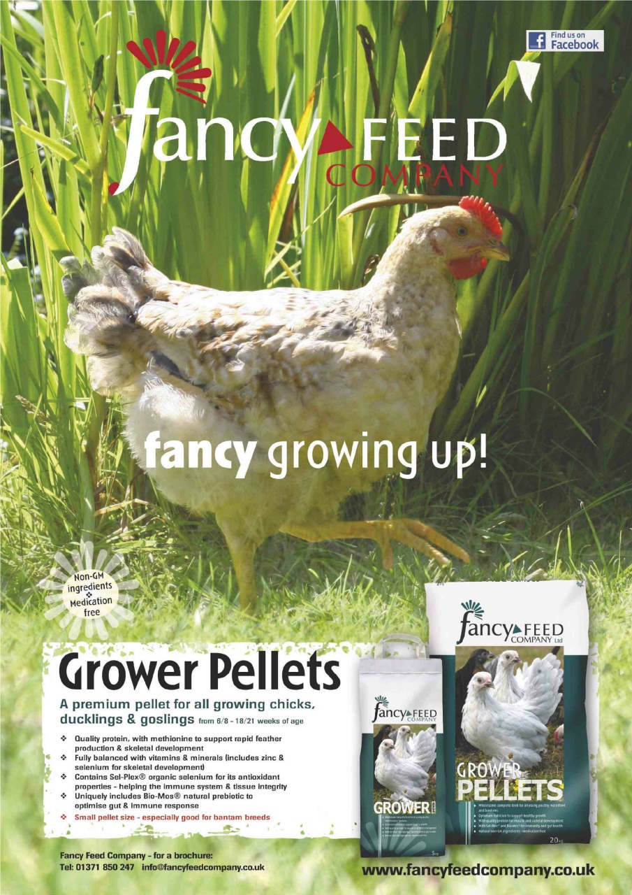 Practical Poultry Preview Pages