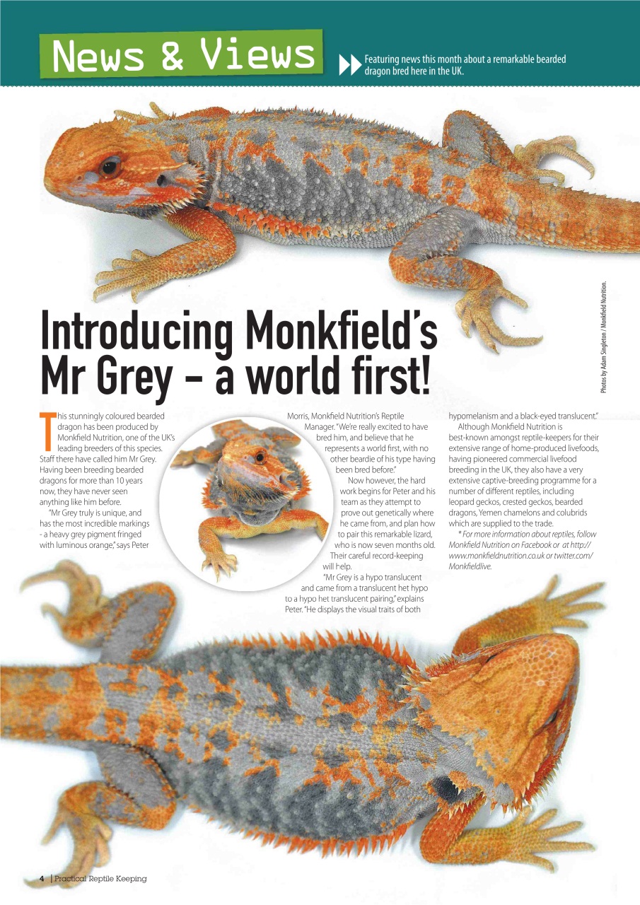 Practical Reptile Keeping Preview Pages