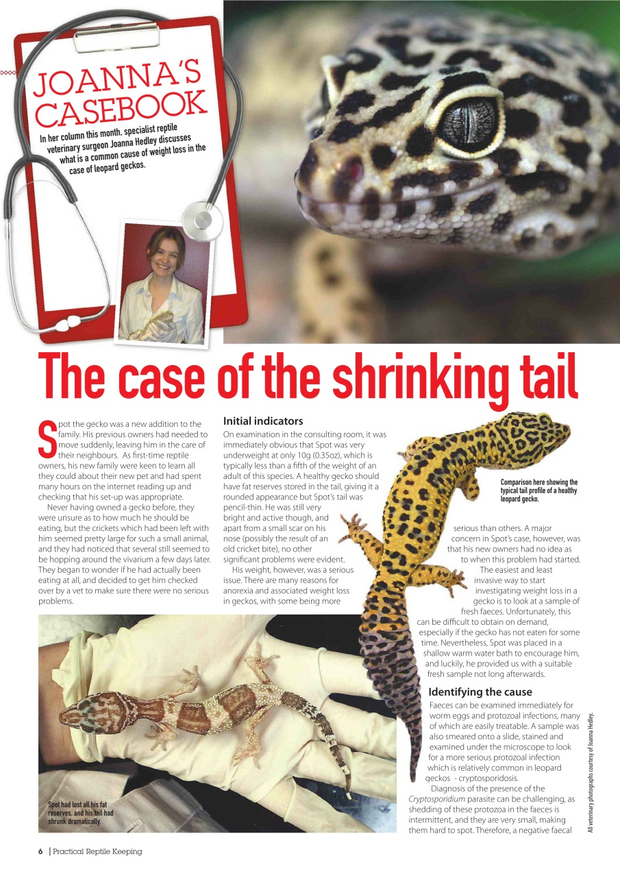 Practical Reptile Keeping Preview Pages