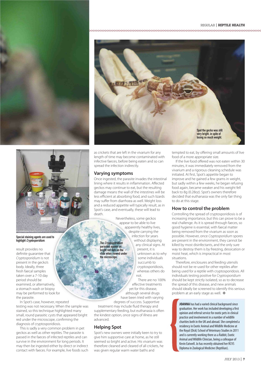 Practical Reptile Keeping Preview Pages