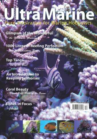 UltraMarine Magazine issue Issue 37