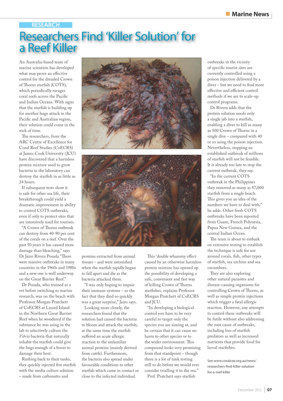 UltraMarine Magazine Preview Pages