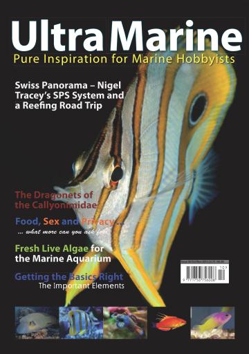 UltraMarine Magazine issue 