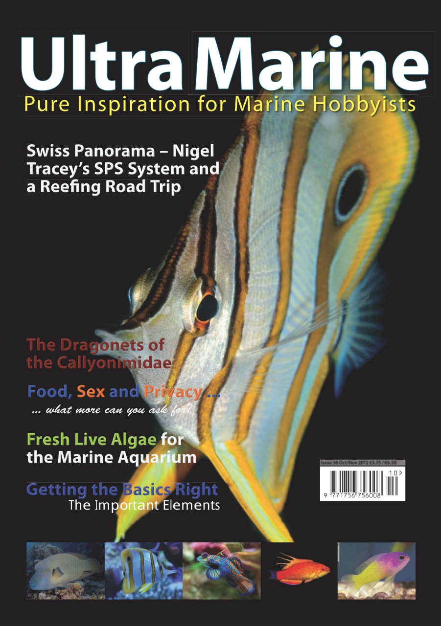 UltraMarine Magazine Preview Pages