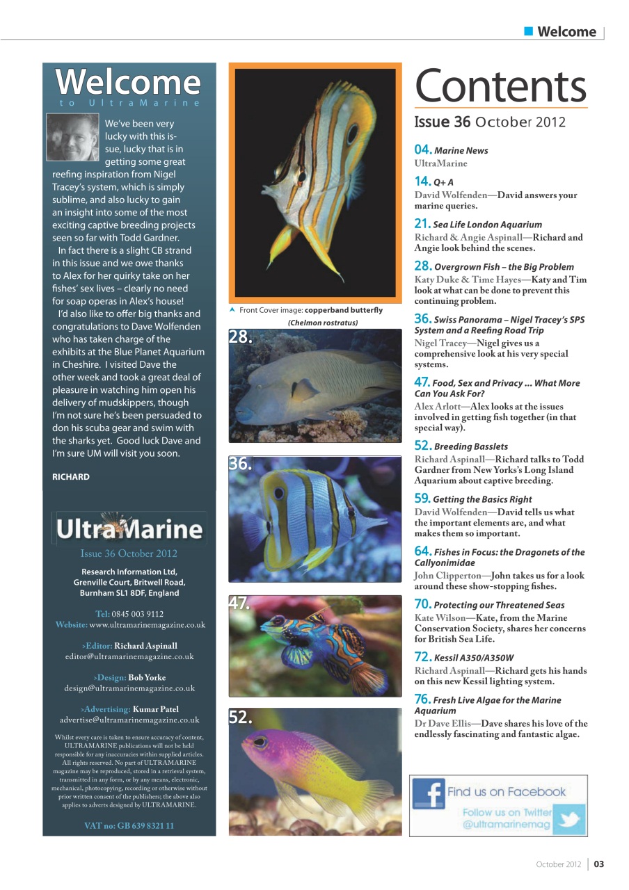 UltraMarine Magazine Preview Pages