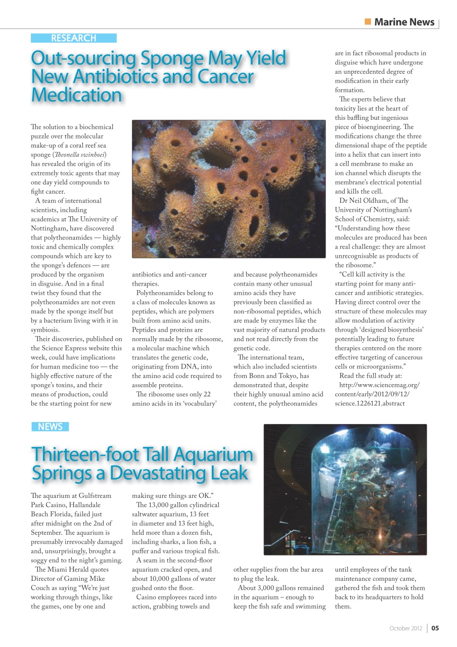 UltraMarine Magazine Preview Pages