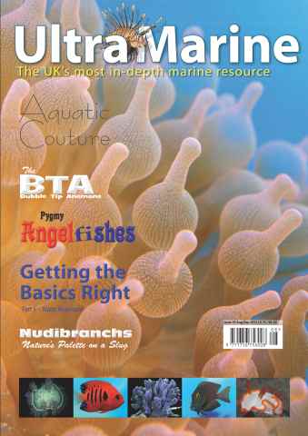 UltraMarine Magazine issue Issue 35