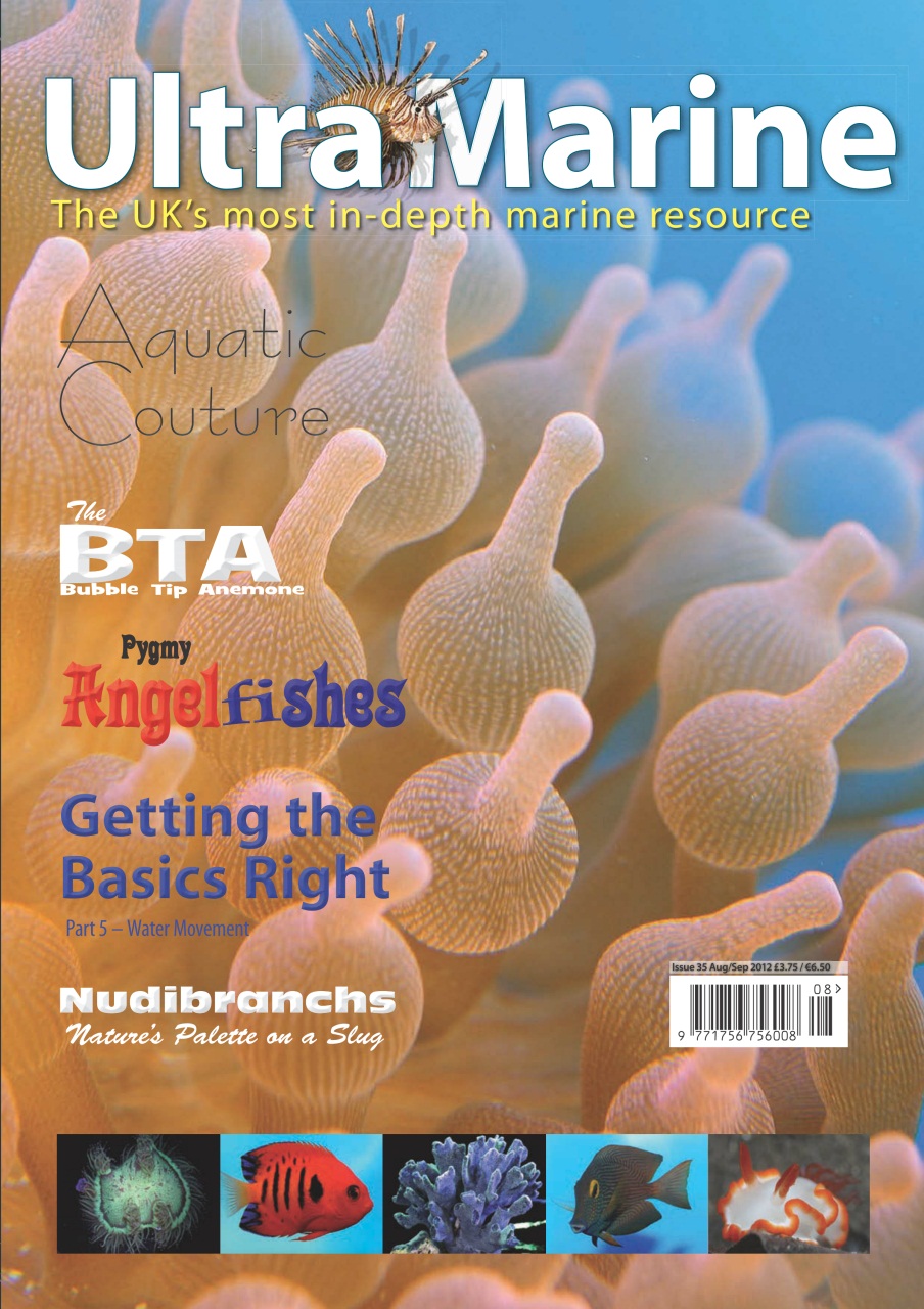 UltraMarine Magazine Preview Pages